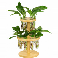 Support de propagation de plantes en tube à essai, en bambou, à 2 niveaux, pour la culture hydroponique, support de tubes en verre pour boutures d'intérieur et décoration de bureau