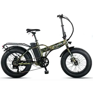 EUROBIKE HA LEI 20 inch fat tire snow 48v 500w 10Ah foldable cargo electric bike for outdoor off road adventure