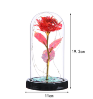 Offre Spéciale femmes noël plastique éternel galaxie rose pour toujours rose en verre dôme avec lumières led cadeau