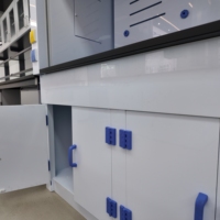 Hotte de laboratoire à conduit en PP avec plan de travail en résine phénolique, 1200 mm, pour laboratoire résistant aux produits chimiques, personnalisable ODM