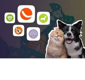 Wise Hustlers : Application de suivi et de réservation d'appointments vétérinaires pour animaux de compagnie, application d'adoption animale - Version Internet, Clé numérique, Faible coût, Mac - Product Image 4