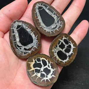 CrystalHola Vente en gros de tranches de pierre marocaine naturelle à motif tortue, sculptées à la main, de haute qualité, décoration bohème, éducatives - Product Image 3