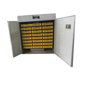 <span class=keywords><strong>Prix</strong></span> spécial 2464 oeufs poussins d'autruche incubateur à vendre - Product Image 3