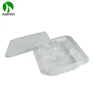 Contenedor de plástico transparente para comida de mascotas, contenedor desechable con tapa de cúpula para fruta y ensalada