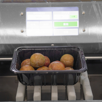 Machine de conditionnement de plateau d'enveloppe de nouveau design hautement efficace de 250g/350g/500g pour les myrtilles, les fraises, les tomates cerises et les oranges