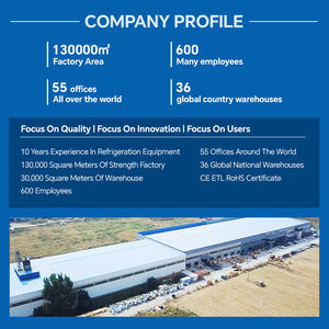 Congélateur coffre à économie d'énergie, technologie Inverter, faible bruit, refroidissement profond, congélateur coffre 200L pour le stockage des aliments - Product Image 6