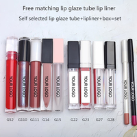 Ensemble de maquillage pour les lèvres 2 en 1 avec logo personnalisé, gloss mat non-transférable, gloss hydratant, styles multiples, kit de crayons à lèvres assortis offert