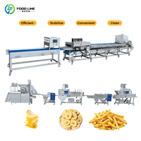 Complete productielijn voor dubbel geblancheerde, gefrituurde, IQF-gevriesdroogde en verpakte diepvriesfrieten en -chips