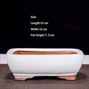 Macetas Rectangulares Grandes de Arcilla Morada de Lujo para Uso en Interiores, Decoración del Hogar y Plantas Verdes, Venta al Por Mayor - Product Image 2