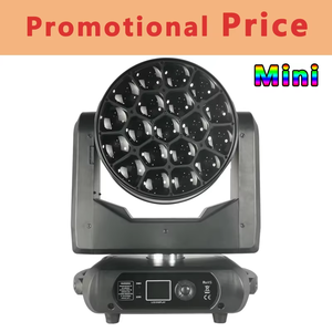 ZY19Pcs 40W RGBW Mini Bee Eye LED lumière principale mobile avec tourbillon et effet kaléidoscope abeilles lumières pour la fête de Concert - Product Image 2