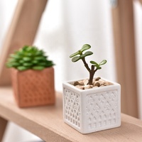 Pot Bonsai Tanaman Bunga Sukulen Mini, Desain Terakota Kotak Putih Alami