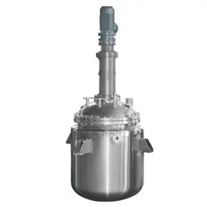 Sanitary And Easy Polish Sand Blast Wear-Resisting Anti-Corrosion Reactor Biodiesel Reactor Pressure Reactor