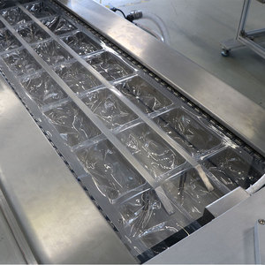 Tự động ngày Palm máy đóng gói chân không thermoforming ngày máy đóng gói chân không - Product Image 4