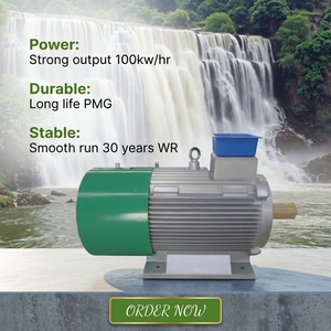 เครื่องกำเนิดไฟฟ้าพลังน้ำ ALLRUN 30KW-100KW แบบซิงโครนัส AC พร้อมกังหันเหล็กกล้าคาร์บอน 220V/380V 50/60Hz ARPMG-100KW - Product Image 5