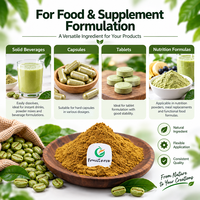 Extrait de grains de café vert Fruiterco en poudre, 50% d'acide chlorogénique, extrait végétal naturel pour la formulation de compléments alimentaires