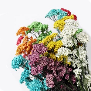 Fiori di Miglio Essiccati Naturali, Decorazioni Floreali per Matrimoni - Product Image 1