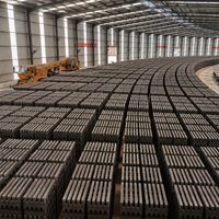 Technologie de construction de fours tunnel avancée, solution efficace pour la production de briques d'argile, qualité garantie, tunnel professionnel