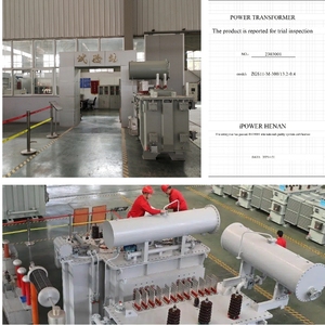 Transformador de Distribución de Energía Trifásico Sumergido en Aceite TNNPI IEC 60076 de 11kV 33kV a 400V 415V para Uso en Minería y Servicios Públicos en África - Product Image 6