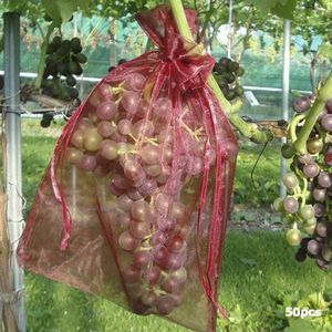 Traspirante protezione per piante da giardino copertura in rete rete fiore frutta coltivazione borsa protettiva per uva pomodoro <span class=keywords><strong>Banana</strong></span> pesca mela - Product Image 5