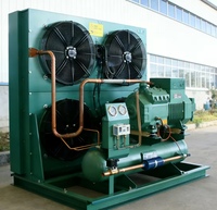 Unité de condensation extérieure refroidie par air de 15 CV pour machines de stockage frigorifique