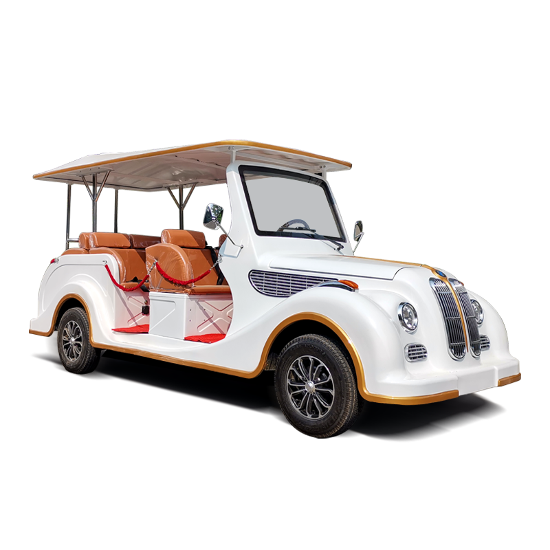 Support Customization New Energy Vehicles 8