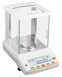 300G 0.1Mg 4 Cijfers Laboratoriumbalanstype Elektronische Weegschaal