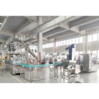 Machine de remplissage de bouteilles en plastique LWT 3000 BPH pour frites et snacks en bâtonnets, ligne de remplissage universelle avec table de collecte