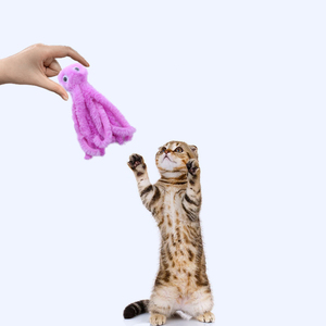 New Style Wholesale Custom Interactive <strong>Cat</strong> Plush Toys with <strong>Catnip</strong> - Product Image 3