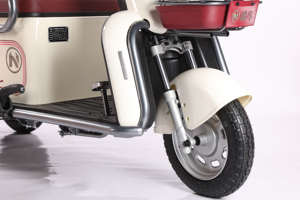 Продает рефрижератор электрический велосипед 2 Elecartc trermotos 500W, 650W, 800W 48V 2 сиденья Carguero открытый пассажир 7-9h 351 - 500w - Product Image 6