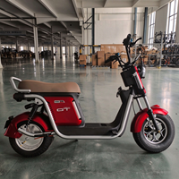 Scooter électrique de style Harley, mini Citycoco, pneus de 8 pouces, 1000W, 60V LiFePO4, pour adultes, fabriqué en usine au Hebei, à prix avantageux
