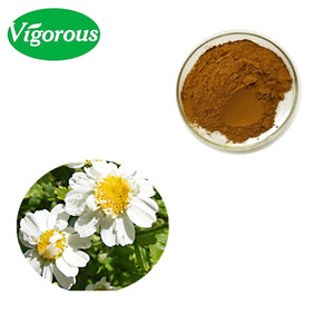 Feverfew For beauty For Health Muestras gratis <span class=keywords><strong>Tanacetum</strong></span> <span class=keywords><strong>parthenium</strong></span> Feverfew Extract - Product Image 1