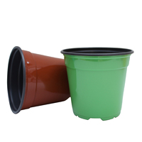 Mini pot de fleurs succulentes de jardin de semis double couleur en plastique PP pour serre bon marché en gros