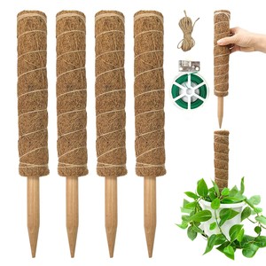 Poste <span class=keywords><strong>de</strong></span> soporte para plantas trepadoras <span class=keywords><strong>de</strong></span> interior, <span class=keywords><strong>de</strong></span> cáscara <span class=keywords><strong>de</strong></span> palma <span class=keywords><strong>de</strong></span> coco y bambú <span class=keywords><strong>con</strong></span> forma <span class=keywords><strong>de</strong></span> caparazón <span class=keywords><strong>de</strong></span> tortuga - Product Image 2