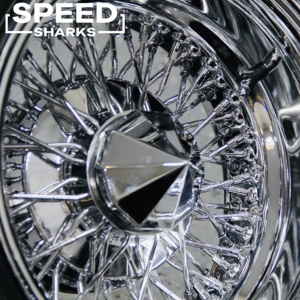 Jantes à rayons personnalisées 22x10 24x10 avec 144 ou 180 rayons et capuchons flottants pour Lincoln Town Car <span class=keywords><strong>Continental</strong></span> et Mercury Grand Marquis - Product Image 2