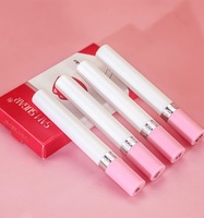 Vente en gros de rouge à lèvres Vegan mignon Cigarette ensemble 4 couleurs mates imperméables en boîte fumée rouge à lèvres liquide crème minérale rouge nu