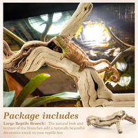 Décoration d'habitat en bois naturel pour caméléons, grenouilles, araignées, décoration de tronc d'arbre en terrarium