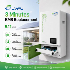 Batterie solaire LVFU Wholesale 5kWh LifePO4 48V 100Ah, batterie lithium-fer-phosphate à cycle profond pour la maison - Product Image 1