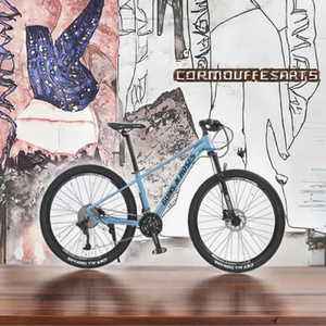 Vélo de montagne pour hommes et femmes, <span class=keywords><strong>26</strong></span> <span class=keywords><strong>pouces</strong></span>, en alliage d'aluminium, frein à disque, fourche à rayons Spokedarton, 21 vitesses, pédale ordinaire - Product Image 4