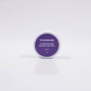 ODM OEM 제조업체 프라이빗 라벨 컨실러 메이크업 3.6gX3 세팅 - Product Image 1