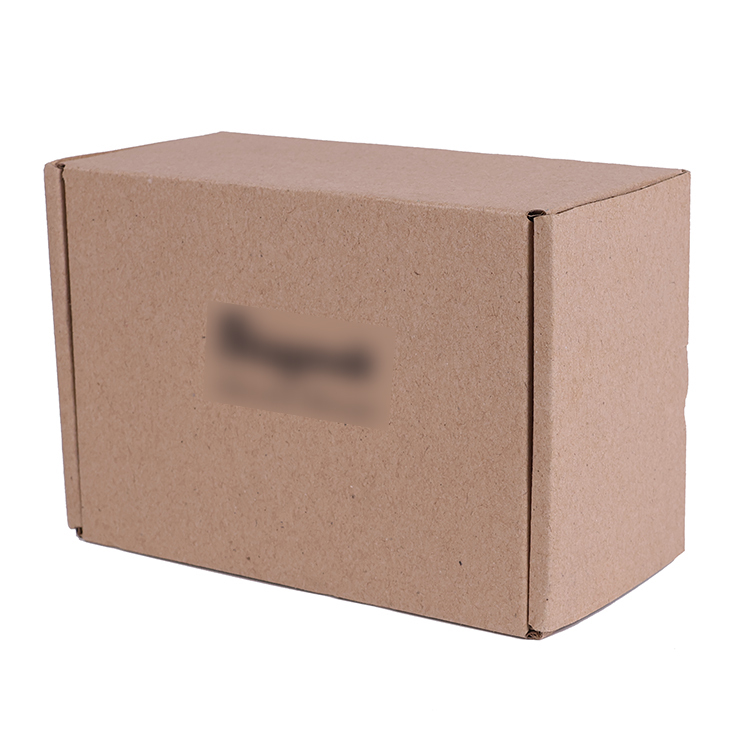 Custom Logo Paper Boxes Recyclable Stylish