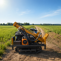 Petite foreuse de puits d'eau portable sur chenilles pour forage de roche dure jusqu'à 300 m, moteur diesel 65 kW, marque ZHIZUAN, garantie 1 an