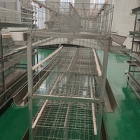 Cage à poulets de type H pour zone d'exportation et ferme de transformation