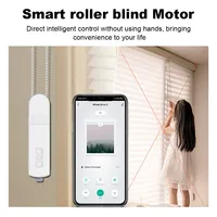 Moteur intelligent Tuya Zigbee pour stores/rideaux motorisés DIY, compatible panneau solaire, contrôle vocal Smart Life, Alexa, Google Home, Alice