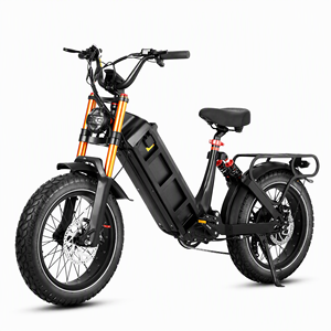 Eahora Juliet pro 60V 70Ah Lithium Battery Electric Mountain Bike Pedelec 20 Inch Rear Hub Motor Steel Frame for Adults - Product Image 6
