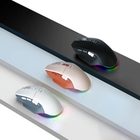 Souris de jeu sans fil USB ergonomique personnalisée de haute qualité, rechargeable, optique, double mode, pour joueurs, 4800 DPI, souris de jeu pour ordinateur