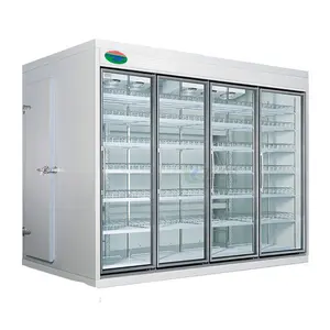 Réfrigérateur à affichage Vertical à faible bruit, 10 pièces, glacière pour réfrigérateur, écran Vertical, faible luminosité