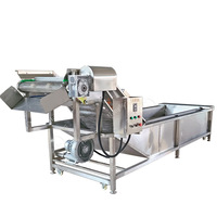 Fruits et légumes Dates Germes de soja Nettoyage Classement Tri Machine à laver et à sécher Ligne Machine à laver à bulles