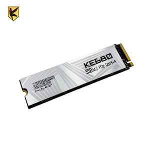 SSD M.2 ความจุ 1TB Gen4 แบบไม่มี DRAM พร้อมฮีทซิงค์สำหรับ PC และ PS5 - Product Image 1