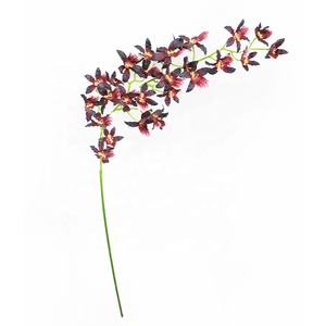 Décoration d'intérieur, tige d'orchidée artificielle <span class=keywords><strong>Vanda</strong></span> à toucher réel, 69 cm de long, vente en gros - Product Image 2