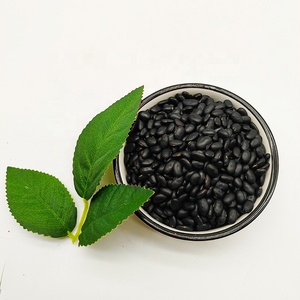 Haricots de lentilles noires biologique de qualité supérieure, lentilles noires d'urad dal à vendre - Product Image 6